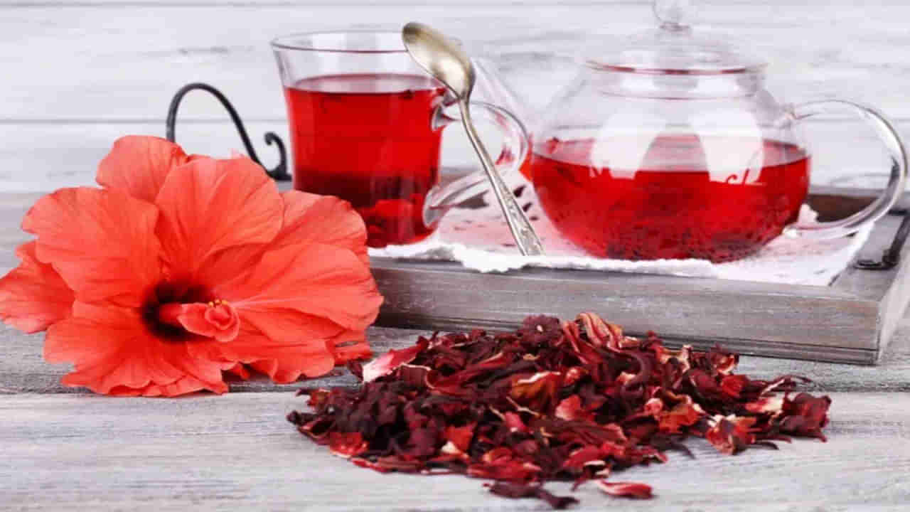 Hibiscus Flower Tea Benefits: అధిక బరువుని తగ్గించే మందార పువ్వుల టీ.. తయారు చేసుకోండిలా