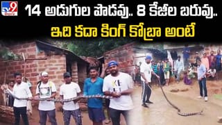 ఒక్క రోజు వధువుకి భారీ డిమాండ్‌ !! అక్కడ పురుషులు బ్రహ్మచారులుగా మరణించడం అశుభం