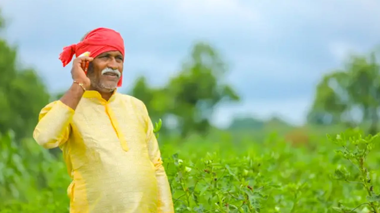 రైతులు ముందుగా పీఎం కిసాన్ అధికారిక వెబ్‌సైట్ pmkisan.gov.inని సందర్శించాలి. ఆ తరువాత మీ స్టేటస్‌ని చెక్ చేసుకోవడం కోసం ‘స్టేటస్’ ఆప్షన్‌పై క్లిక్ చేయాలి. ఆ తరువాత రిజిస్ట్రేషన్ నెంబర్, క్యాప్చా కోడ్‌ ఎంటర్ చేయాలి.