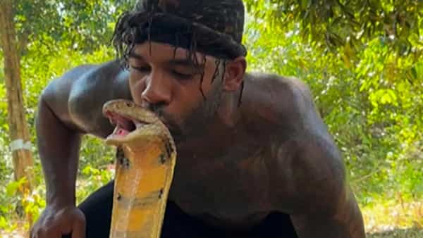 Kiss of Death: ఎందీ బ్రో.. చావును ముద్దాడావ్! కోటి రూపాయలు ఇచ్చినా నేనైతే ఆ పని చేయను