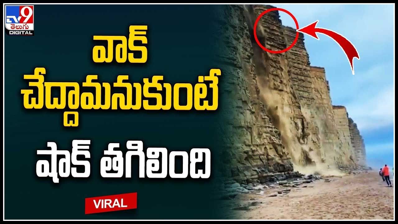 Viral: వాక్ చేద్దామనుకుంటే షాక్ తగిలింది.. వైరల్ అవుతున్న షాకింగ్ వీడియో..