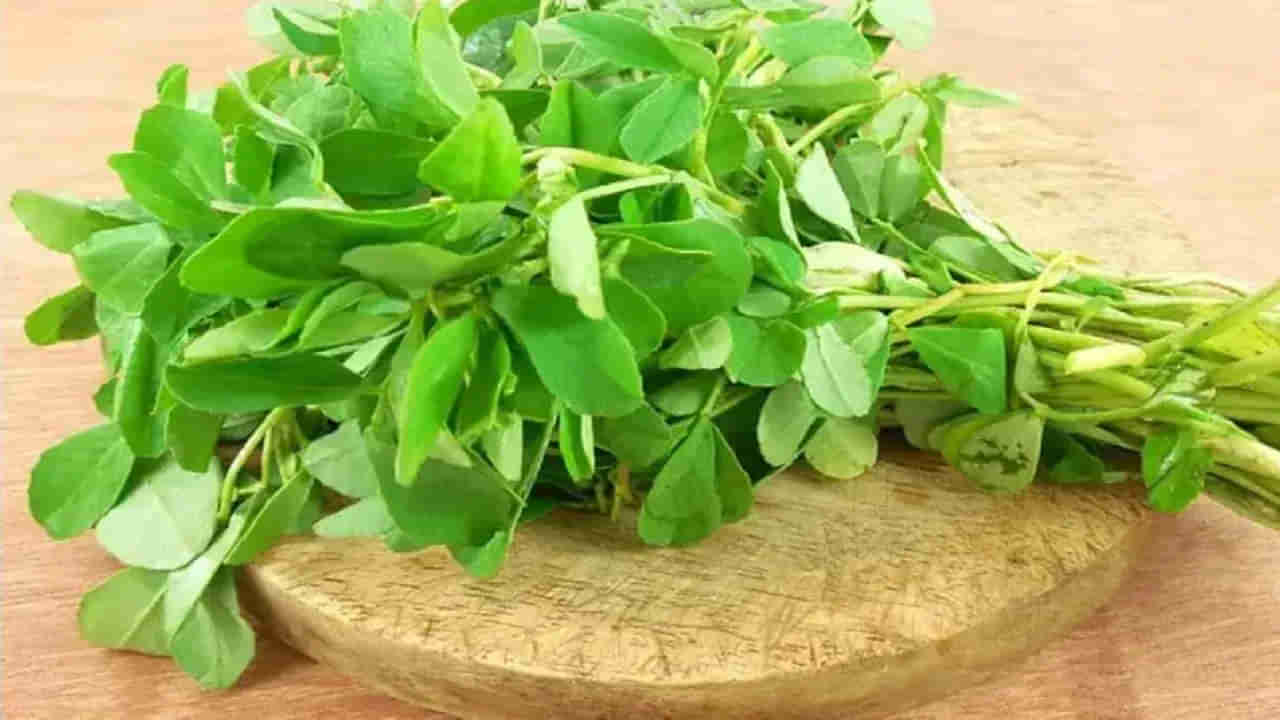 Leafy Greens for Bones: ఈ ఆకు కూరలు తినండి.. ఎముకలను ధృడంగా ఉంచుకోండి!