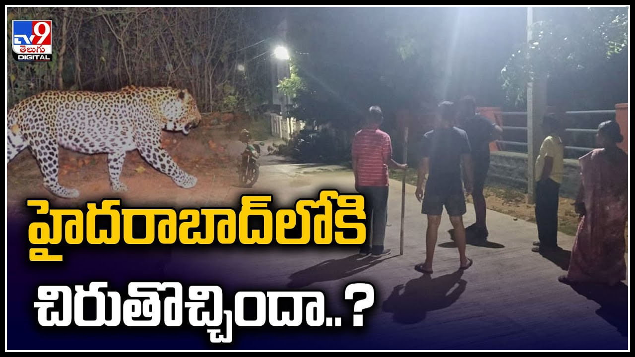 Hyderabad: హైదరాబాద్‌‌లోకి చిరుతొచ్చిందా..? సీసీ కెమెరాలో కనిపించిన చిరుత.