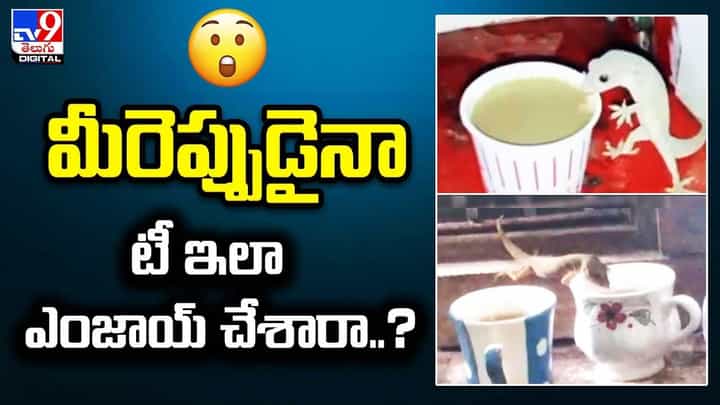 కప్పులో టీ తాగుతూ ఎంజాయ్ చేస్తున్న బల్లి !! నెట్టింట వైరల్ అవుతున్న సూపర్ వీడియో కప్పులో టీ తాగుతూ ఎంజాయ్ చేస్తున్న బల్లి !! నెట్టింట వైరల్ అవుతున్న సూపర్ వీడియో