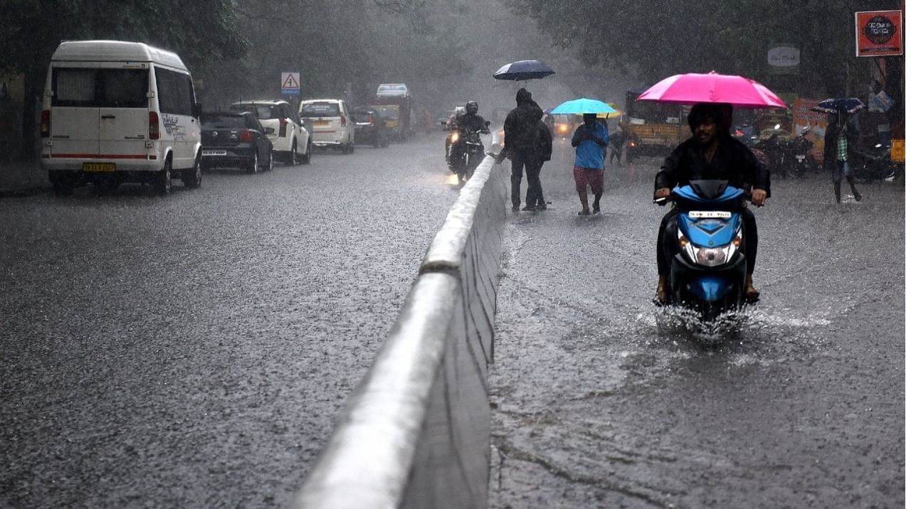 Longest Rain: 881 రోజులు నాన్ స్టాప్ రెయిన్స్.. ఇదో వరల్డ్ రికార్డ్.. పూర్తి వివరాలివే..