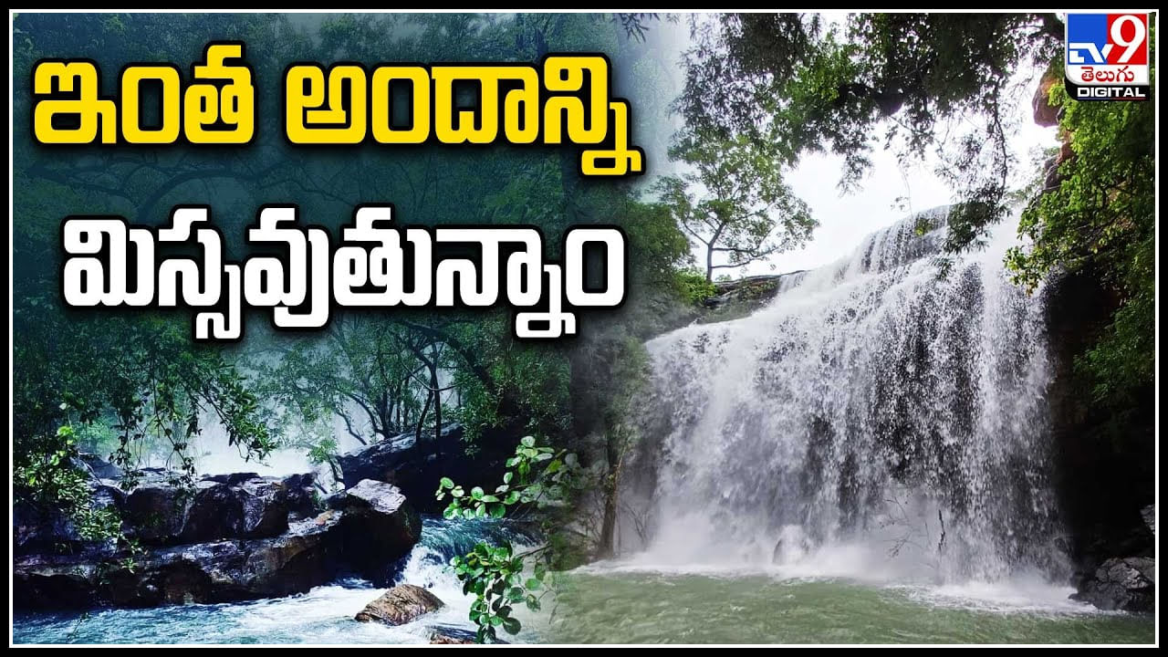 Nature: నల్లమల అడవుల్లో అద్భుతమైన అందాలు.. మంచు పొగతో అందాల నీటి సోయగాలు ఫిదా.