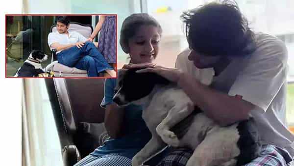 Mahesh Babu: మహేశ్ ఇంట విషాదం.. ఎమోషనల్ పోస్ట్ షేర్ చేసిన సితారా!