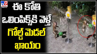 Viral Video: ఒకరిది ఆకలి తీర్చుకోవడనికి ఆరాటం.. మరొకదారి ప్రాణాల కోసం పోరాటం.. వీడియో వైరల్..