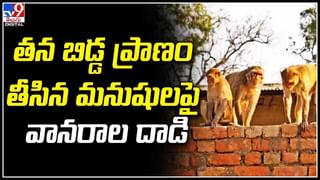 Viral: వాక్ చేద్దామనుకుంటే షాక్ తగిలింది.. వైరల్ అవుతున్న షాకింగ్ వీడియో..