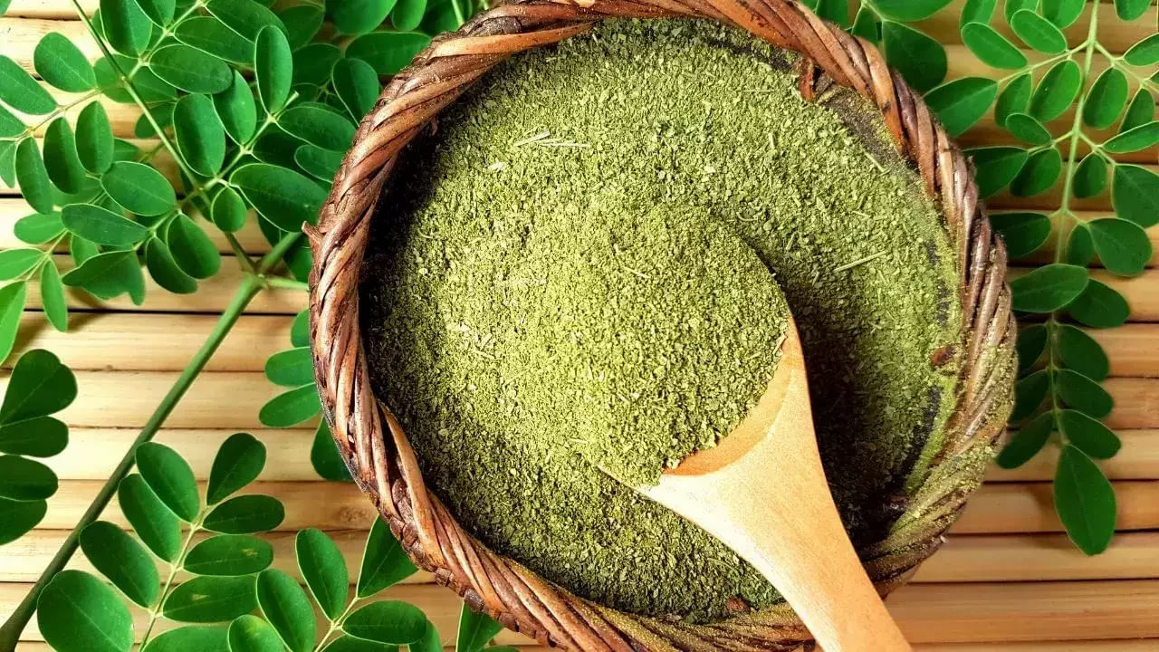 Moringa Leaves Benefits: మునగ ఆకుతో ఒక నెలలోనే ఒత్తైన జుట్టు మీ సొంతం.. మరిన్నో బెనిఫిట్స్!!