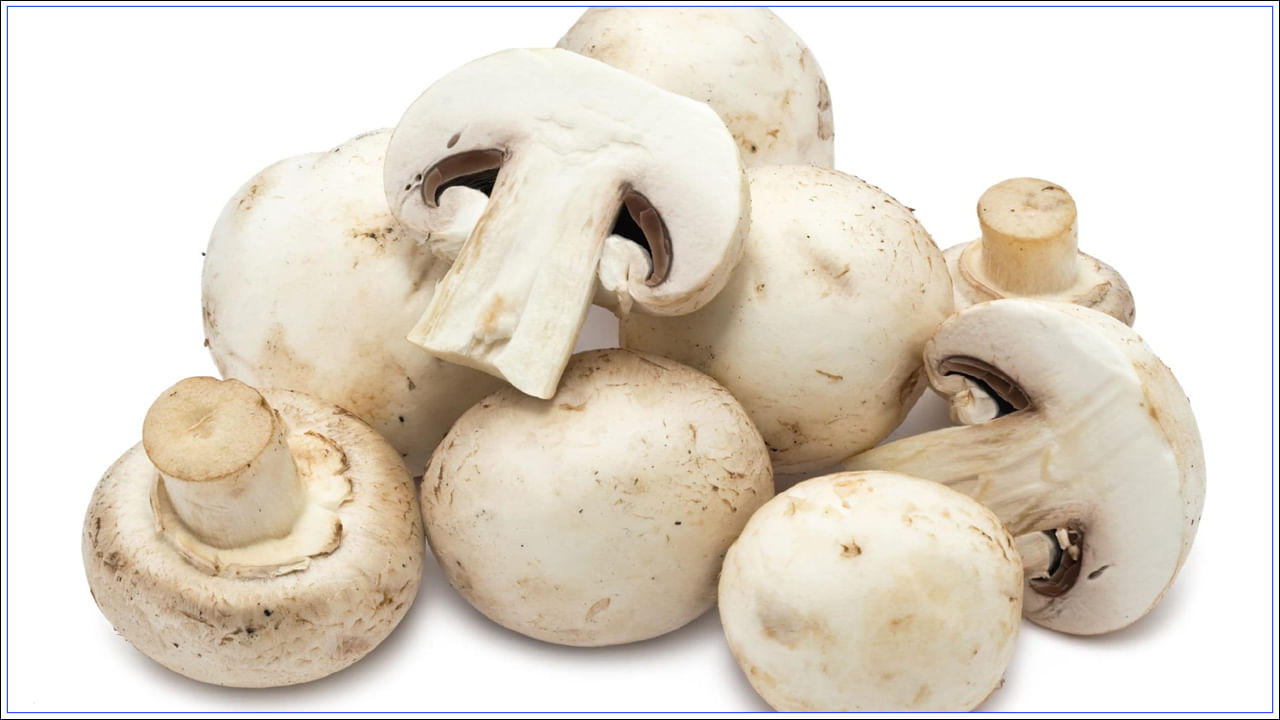 Mushroom Side Effecs: పుట్టగొడుగులను ఇలా తింటున్నారా..? అయితే అనారోగ్య సమస్యలు వచ్చినట్లే..!