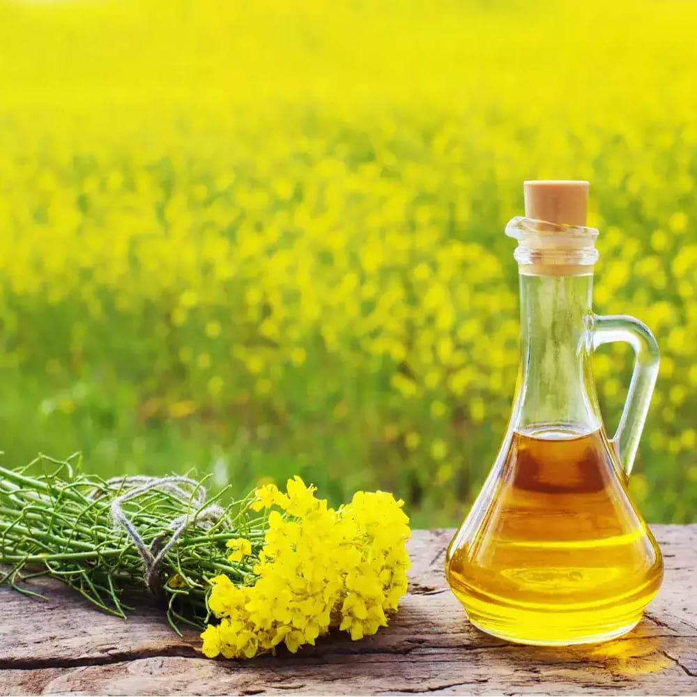 అదే విధంగా, ఆవాల నూనెలో ఒమేగా-3, ఒమేగా-6 ఫ్యాటీ యాసిడ్స్ ఉంటాయి. దీన్ని ఉపయోగించి వంట చేయడం వల్ల ఆహారం రుచి పెరగడమే కాకుండా చర్మ సమస్యలు, దానికి సంబంధించిన వ్యాధులు రాకుండా ఉంటాయి. ఆవనూనెతో వండటం వల్ల శరీరానికి చాలా ప్రయోజనాలు ఉన్నాయి.