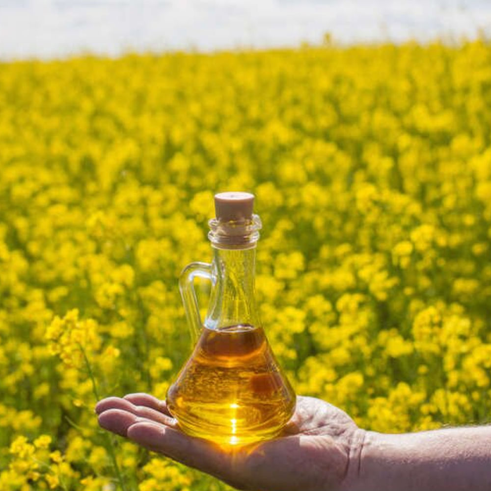 మామూలుగా ఉన్నప్పుడు వేరే రంగులో కనిపించే మస్టర్డ్ ఆయిల్ వేడిచేసినప్పుడు బంగారు రంగులోకి మారుతుంది. దాని ద్వారా మనం దాని రుచిని అనుభవించవచ్చు.