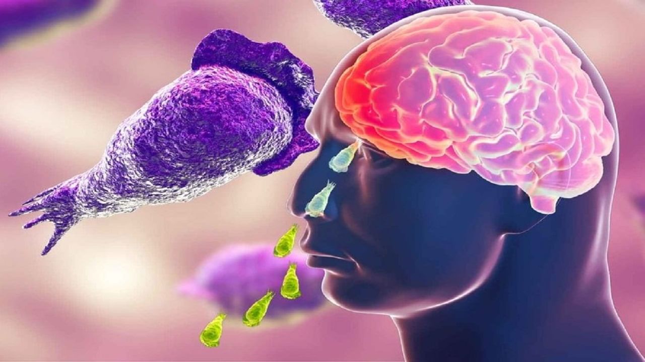 naegleria-fowleri-the-brain-eating-amoeba-all-you-need-to-know-risk