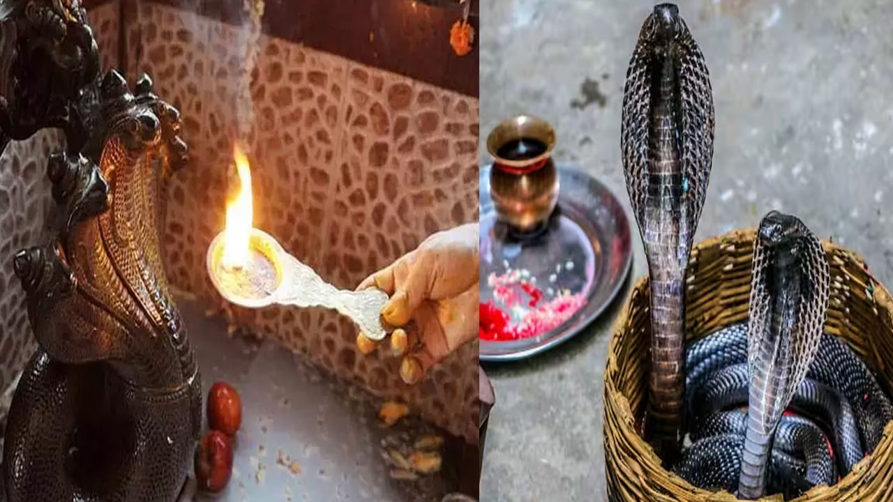 Naga Panchami: నేడు నాగపంచమి.. కోరిన కోర్కెలు తీరాలంటే ఈ మంత్రం పఠిస్తూ పాలు సమర్పించండి..