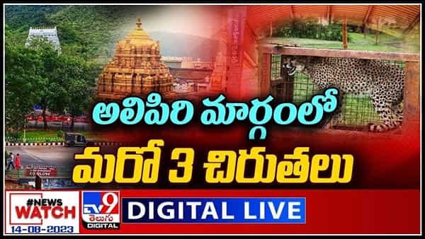 News Watch Live: అలిపిరి మార్గంలో మరో 3 చిరుతలు..! వీక్షించండి న్యూస్ వాచ్.