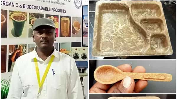 Business Ideas: గోధుమ రవ్వ, చింతపండుతో ప్లేట్లు, గ్లాసులు.. రూ. లక్షల్లో టర్నోవర్.. సక్సెస్ఫుల్ బిజినెస్ మంత్రా ఇది..