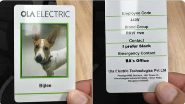 Ola Electric: కుక్క గారికి ఉద్యోగం ఇచ్చిన దిగ్గజ ఎలక్ట్రిక్ సంస్థ.. ఐడీ కార్డు చూశారా? భలేగుందిలే..