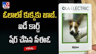 Viral Video: విదేశీ గడ్డపై  లుంగీ పవర్‌ ఏంటో చూపించాడు.. వీడియోకి ఫిదా అవ్వాల్సిందే