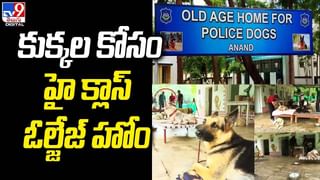 School: ఈ బడికి వెళ్తే పుస్తకాలే కాదు..హెల్మెట్లు కూడా పెట్టుకోవాలి. మా స్కూల్ పట్టించుకోండి అయ్యా..