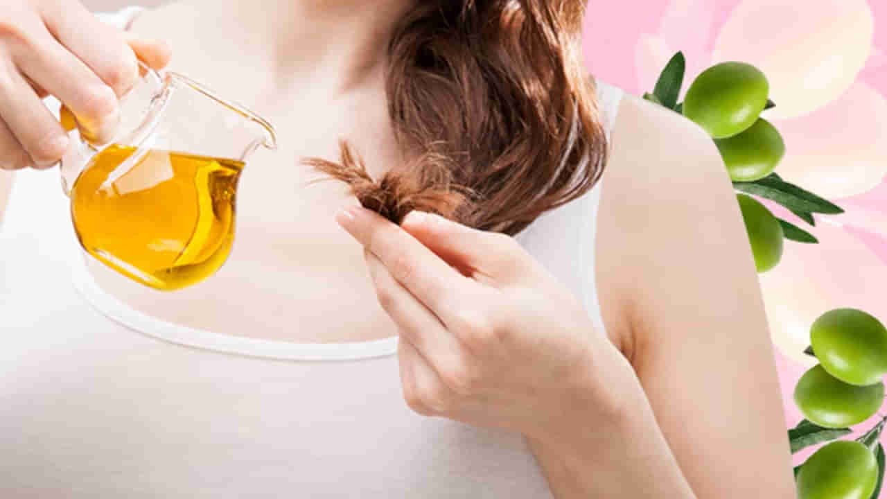 Hair Fall Tips: జుట్టు బాగా రాలిపోతుందా ? ఈ చిట్కాలను పాటించండి