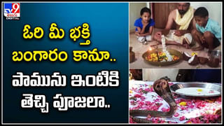 Srikakulam: గ్రామంలో ఎలుగుబంట్లు స్వైర విహారం.. భయాందోళనలో ప్రజలు..!