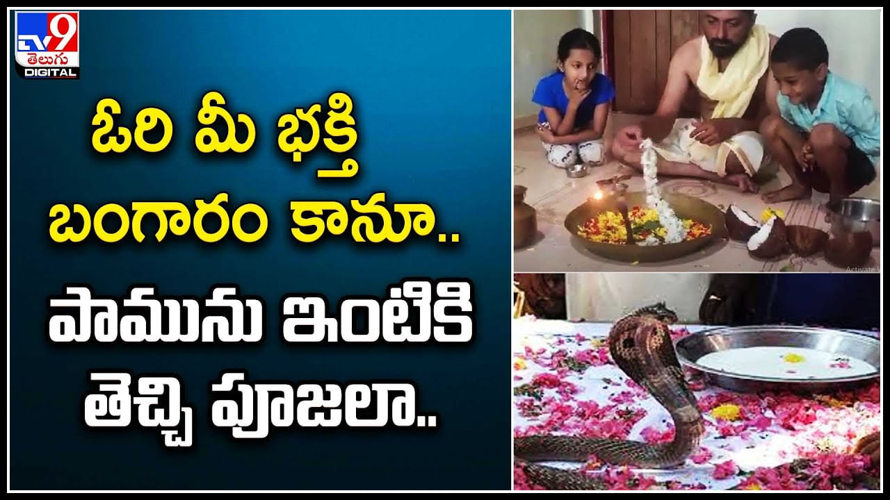 Viral: ఓరీ మీ భక్తి బంగారం కానూ.. పామును ఇంటికి తీసుకొచ్చి పూజలా.. వీడియో వైరల్.