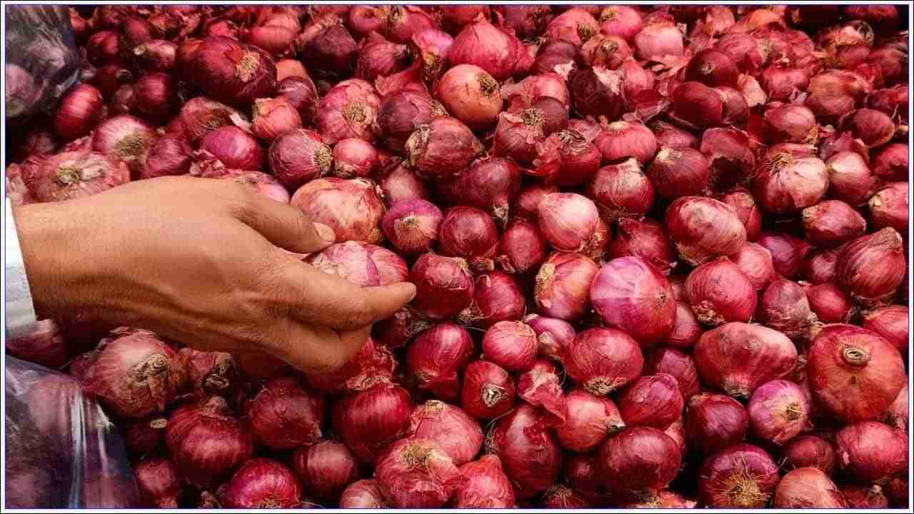 Onion Price Hike: ఉల్లి రికార్డు స్థాయిలో సరఫరా ఉన్నా.. ధర ఎందుకు పెరుగుతోంది..!