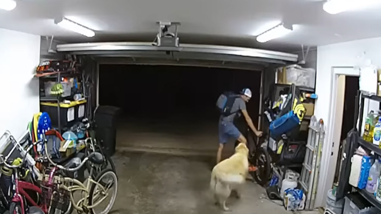 Viral Video: తెలివైన దొంగ..చాకచక్యంగా కుక్కను మచ్చిక చేసుకుని కాస్ట్‌లీ సైకిల్‌ చోరీ