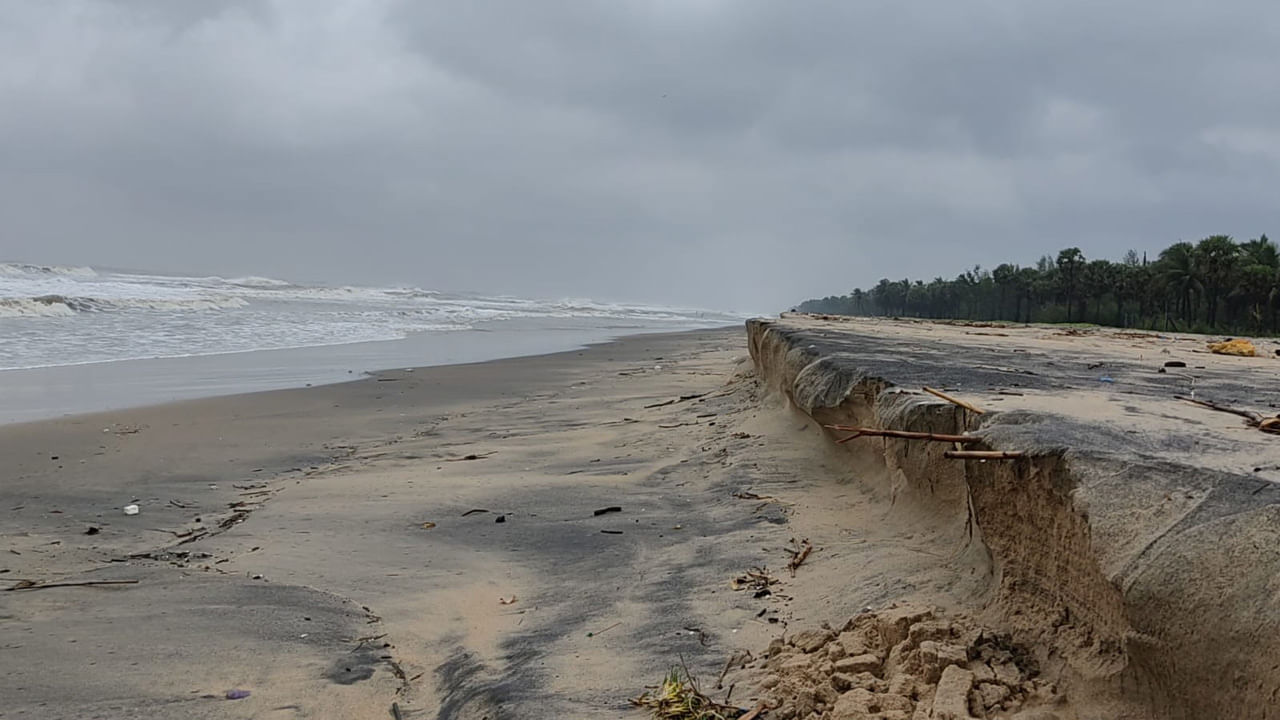ఏలూరు: సముద్ర అలలు హోరును జోల పాటగా భావించే మత్సకారులు ఇప్పుడు ఆ శబ్దం వింటేనే ఉలిక్కి పడే పరిస్థితి ఏర్పడింది. కడలి పుత్రులు నిత్యం జీవనం సాగించేది, జీవించేది ప్రకృతి ఒడిలోనే. సముద్రంలో వేట కోసం తీర ప్రాంతాన్ని తమ ఆవాసంగా మత్స్యకారులు మార్చుకుంటారు. ఈ ప్రాంతంలో సర్వీ, కొబ్బరి, కూరగాయలు సాగు చేస్తూ, ఉప్పు తయారు చేస్తూ జీవనం సాగిస్తుంటారు. గ్రామాలమీదకు సముద్రం రాకుండా పూర్వం మడ అడవులు రక్షణ గా ఉండేవి. సముద్రతీరం వెంబడి దట్టమైన మడ అడవులు, సరుగుడు చెట్లు ఉండేవి. తుపానులు, విపత్తులు,ఉప్పెనలు వచ్చినప్పుడు అవి నష్ట తీవ్రతను తగ్గించేవి. కాని పశ్చిమ గోదావరి తీరంలో ప్రస్తుతం మడ అడవులు కనుమరుగై పోయాయి. మడఅడవుల వలన చేపలు సంతతి పెరుగుతుంది . అదేసమయంలో కోతకు తీరం నష్ట పోకుండా కాపాడుతుంది. వాతావరణ సమతుల్యంలో ఈ మడ అడవులు పాత్ర చాలా ముఖ్యం. ప్రస్తుతం అభివృద్ధి పేరుతో విచక్షణా రహితంగా చెట్లు కొట్టే యడం వల్లే అనేక తుపానులు, సముద్రకోతలు సంభవిస్తున్నాయి. ఇటీవల సంభవించిన పలు పెను తుపానులే వీటికి నిదర్శనం.