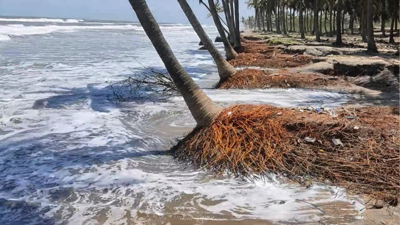 సునామితో ఒక గ్రామం మాయం: పశ్చిమ గోదావరి జిల్లాలో తీరప్రాంతం నరసాపురం, మొగల్తూరు మండలాల్లో 19 కిలోమీటర్లు విస్తరించి ఉంది . 9 మత్స్యకార గ్రామాలు తీరంను ఆనుకుని ఉన్నాయి. వీటిలో 1500 మంది వరకు వేటపై ఆధారపడి జీవిస్తున్నారు. నరసాపురం మండలం బియ్యపుతిప్ప, చినమైన వానిలంక, పెదమైన వానిలంక, మొగల్తూరు మండలం కేపీ పాలం, పేరుపాలెం సౌత్ పంచాయతీలు ఉన్నాయి. సముద్రంలోని అలజడి సంభవించిన ప్రతి సందర్భంలోనూ ఈ గ్రామాలు కోతకు గురవుతున్నాయి. తీరంలో నిత్యం ప్రాణాలు గుప్పెట్లో పెట్టుకుని జీవించే వీరికి వానకాలంలో సంభవించే వాయుగుండాలు, తుపానులు ఒక రకమైన భయాందోళనకు గురిచేస్తుంటే నిత్యం ముందుకు వస్తున్న సముద్ర అలలు కంటిమీద కునుకు లేకుండా చేస్తున్నాయి. గతంలో నరసాపురం మండలం బియ్యపుతిప్ప, చినమైనవానిలంక గ్రామాలు కోతకుగురై కాలక్రమములో సముద్రగర్భంలో కలసిపోయాయి. 2001 లో వచ్చిన సునామీతో తీరంలో ప్రజలు ఒక్కసారిగా ఉలికిపడ్డారు. కొంత మంది. తమ ప్రాణాలు కోల్పోయారు.