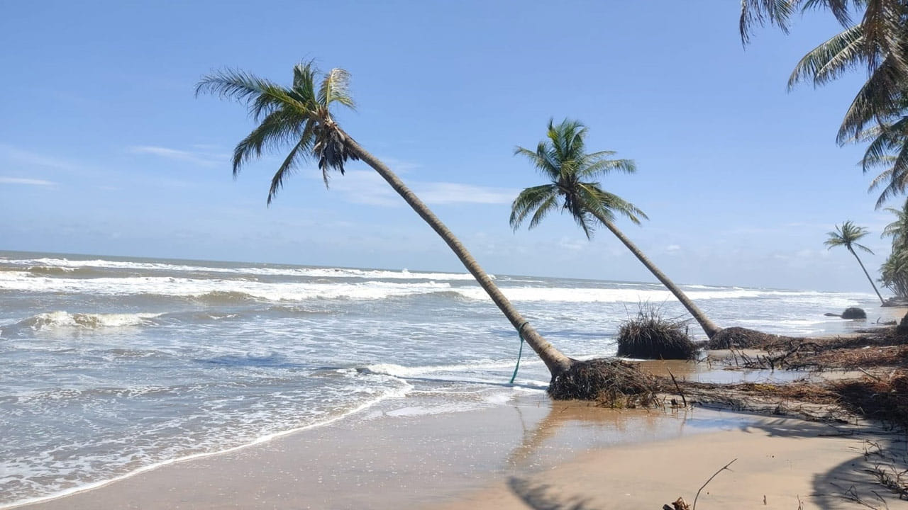 వేలాది ఎకరాల్లో పంట భూములు, నివాసాలు సముద్రంలో కలిసి పోయాయి. దీంతో వీరు సముద్రానికి 4 కిలోమీటర్ల దూరంలో గ్రామాలు ఏర్పాటు చేసుకున్నారు. అప్పటి వరకు సముద్రమంటే భయపడని స్థానికులు ఈ అనుభవం తర్వాత ఏ చిన్న విపత్తు సంభవించినా హడలిపోతున్నారు. గత కొంత కాలంగా పెదమైనవానిలంక గ్రామం కోతకు గురవుతోంది. రెండే ళ్లుగా ఇది మరీ ఎక్కువైంది. దీంతో ఎప్పుడు ఏ ప్రమాదం పొంచి వుందోనని స్థానికులు ఆవేదన వ్యక్తం చేస్తున్నారు. నీలం తుఫాను మొదలు లైలా, థానే, లెహర్ తుఫాను లకు తీరం వాసులు గడగడ వణికిపో యారు. ప్రస్తుతం సముద్ర కోతతో మత్సకారుల గుండెల్లో రైళ్లు పరుగెడుతున్నాయి. ధానే తుపాను సమయంలో పెద మైనవాని లంక తీరంలో సముద్రం అల్లకల్లోలంగా మారింది. కెరటాలు ఉద్ధృతికి కొబ్బరి చెట్టు సర్వీ, తాటిచెట్లు నేలకొరిగి కడలి గర్భంలో కలసిపో యాయి. సముద్రం క్రమేపీ కోత కోస్తూ సుమారు 20 మీటర్లు ముందుకు చొచ్చుకొచ్చింది. ఈ ప్రభావంతో గట్ల కోతకు గురయ్యాయి. దీంతో తీరప్రాంత ప్రజలు భయంతో బిక్కుబిక్కుమంటూ కాలం గడిపేపరిస్థితి నెలకొంది.