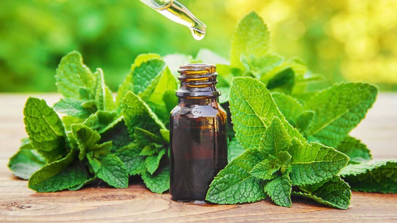 Peppermint Oil Health Benefits: ఈ పిప్పరమెంట్ ఆయిల్ ను ఒక్కసారి వాసన చూడండి.. ఆ సమస్యలన్నింటికీ బైబై చెప్పండి!!