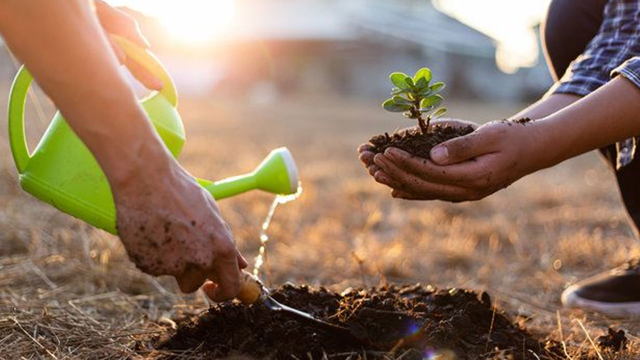My India My Life Goals: ప్రకృతి ఆరోగ్యంగా ఉంటే మనం కూడా ఆరోగ్యంగా ఉంటాం.. మొక్కలు పెంచండి..