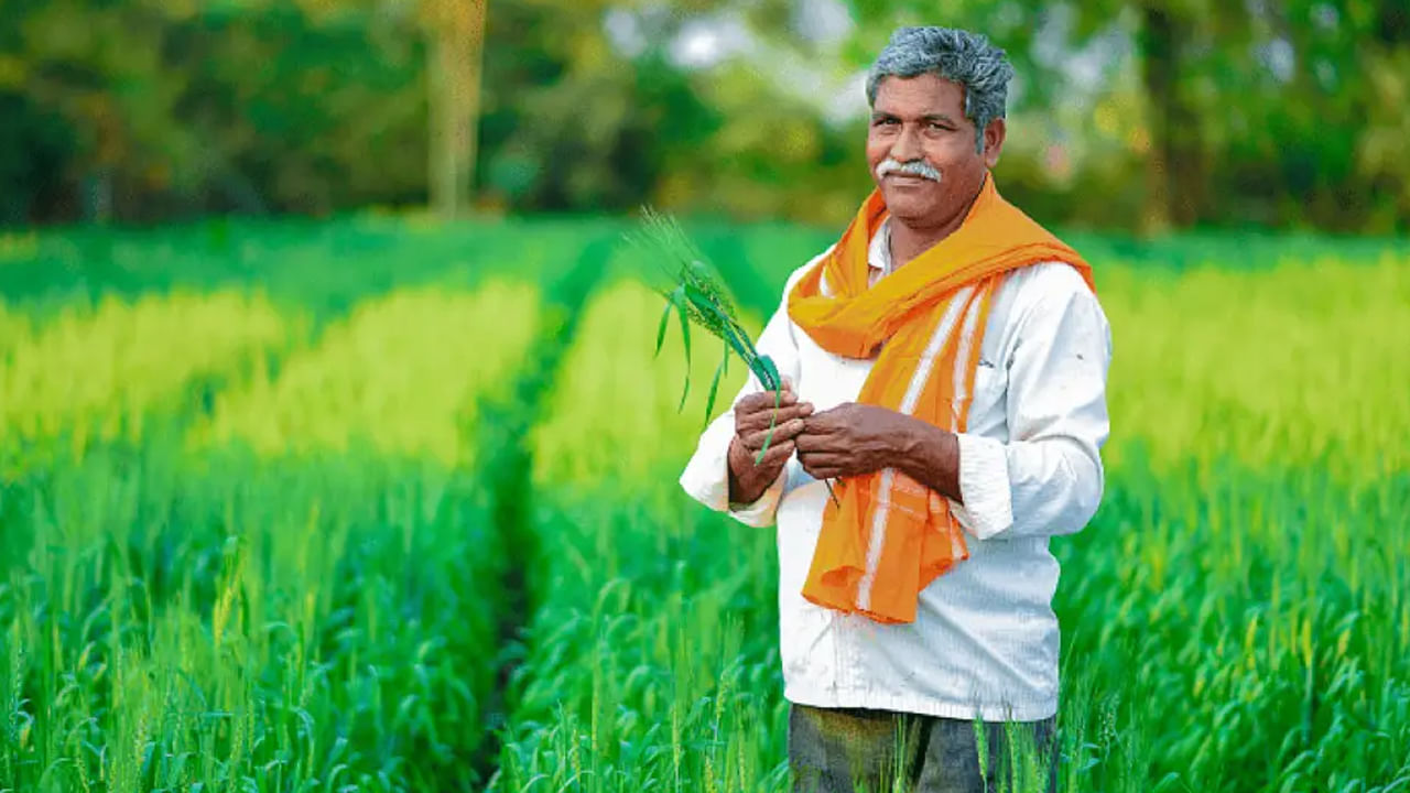 అయితే, డబ్బులు రాలేదని రైతులు ఆందోళన చెందాల్సిన అవసరం లేదని ప్రభుత్వ అధికారులు చెబుతున్నారు. రైతులు ఇంట్లో కూర్చొనే 14వ విడత నిధుల ఎందుకు అకౌంట్‌లో పడలేదో తెలుసుకోవచ్చు. అంటే తమ అకౌంట్ స్టేటస్‌ని పరిశీలించడం ద్వారా దీనిని తెలుసుకోవచ్చు.