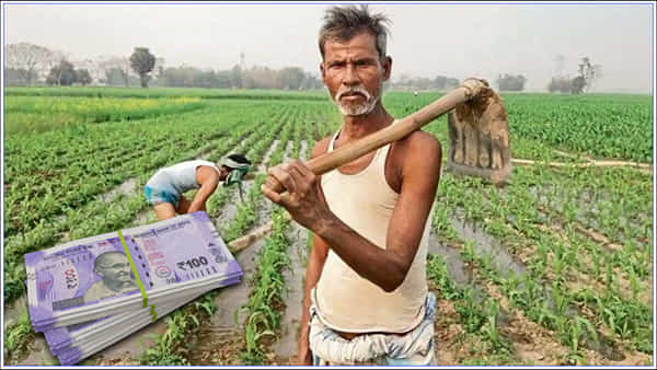 PM Kisan: పీఎం కిసాన్ 14వ విడత ఇంకా మీ ఖాతాలోకి రాలేదా..? కారణం ఇదే కావచ్చు.. చెక్ చేసుకోండి