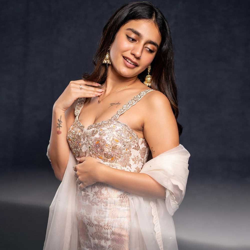  దీంతో ఆమెకు సౌత్ ఇండస్ట్రీలో వరుస అవకాశాలు వచ్చాయి. కానీ ఈ సినిమా తర్వాత స్టార్ డమ్ మాత్రం అందుకోలేకపోయింది. 