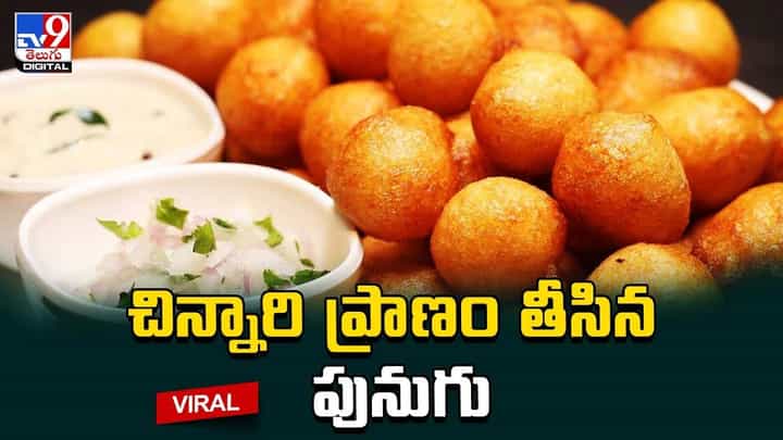 చిన్నారి ప్రాణం తీసిన పునుగు.. ఊపిరాడక మృతి చిన్నారి ప్రాణం తీసిన పునుగు.. ఊపిరాడక మృతి