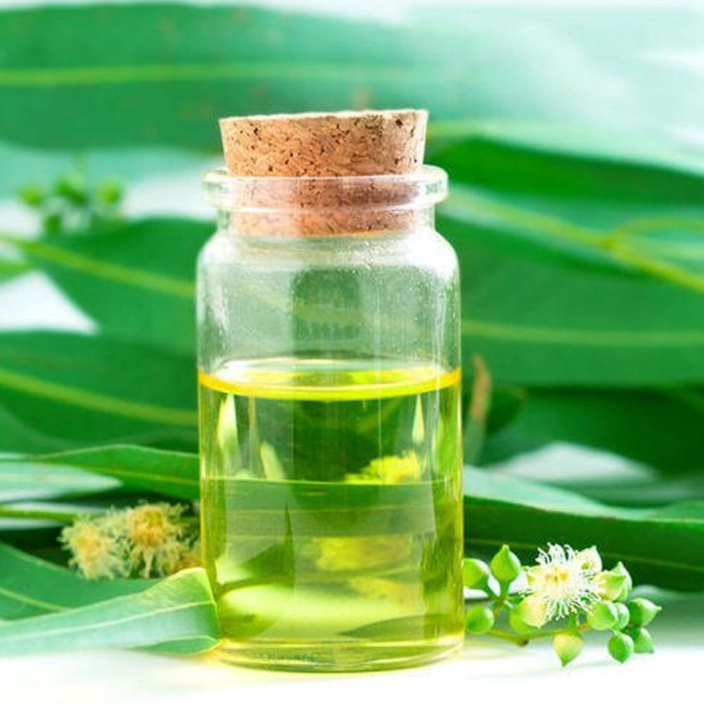 ఇది తివాచీలు,బట్టలపై నూనె, సిరా, గమ్ వల్ల ఏర్పడ్డ కఠినమైన మరకలను సులభంగా తొలగిస్తుంది. నీలగిరి నూనెను చర్మంపై పూసినప్పుడు దోమలు, ఇతర కీటకాలను దరిచేరవు.