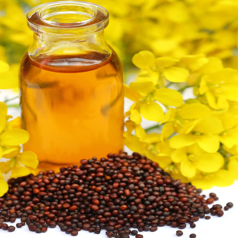 ఆవాల నూనెలో విటమిన్ ఇ పుష్కలంగా ఉంటుంది. ఇది చర్మ ఆరోగ్యానికి మంచిది. చర్మం చిట్లడం, చర్మం పొడిబారడం వంటి సమస్యలను నివారిస్తుంది. శరీరానికి ఆవాల నూనె రాసుకుంటే రక్త ప్రసరణ పెరుగుతుంది. ఆవనూనెలోని సెలీనియం మంట, నొప్పిని తగ్గిస్తుంది. ఆర్థరైటిస్ నొప్పిని తగ్గిస్తుంది. ఆవాల నూనె కూడా దగ్గు జలుబు నుండి ఉపశమనం కలిగిస్తుంది.