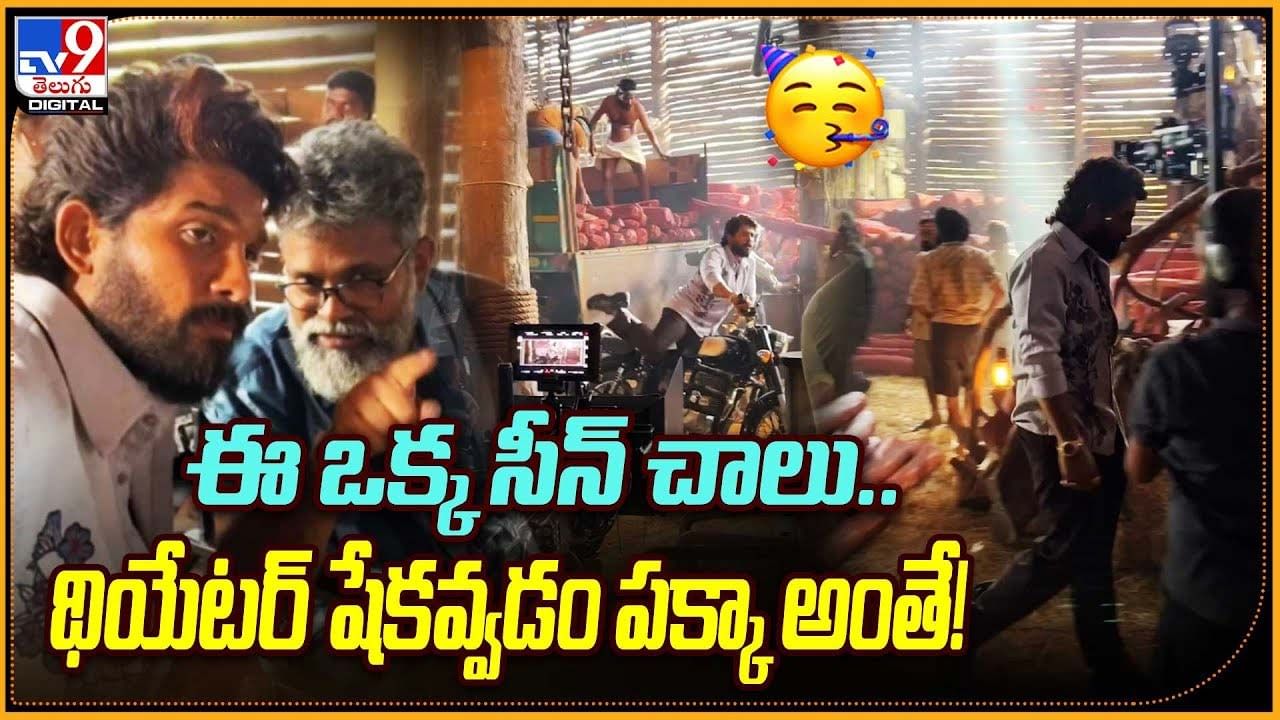 Pushpa 2: ఈ ఒక్క సీన్‌ చాలు.. థియేటర్‌ షేకవ్వడం పక్కా అంతే!