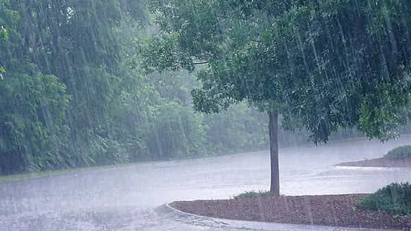 Rainfall Alert: తెలంగాణలో రాగల రెండు రోజులు భారీ వర్షాలు.. ఆయా జిల్లాలకు ఎల్లో, గ్రీన్ అలర్ట్..