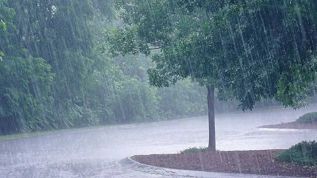 Rainfall Alert: తెలంగాణలో రాగల రెండు రోజులు భారీ వర్షాలు.. ఆయా జిల్లాలకు ఎల్లో, గ్రీన్‌ అలర్ట్‌..