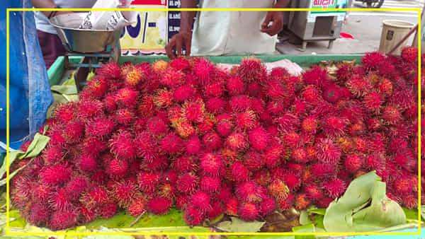 Telangana: రాంబుటాన్ పండ్ల కోసం ఎగెబడుతున్న జనం.. ఖమ్మం మార్కెట్లో ఆకట్టుకుంటున్న ఫ్రూట్స్..