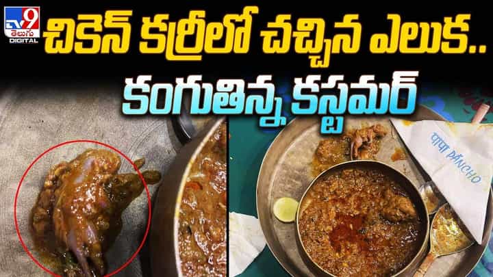 చికెన్ కర్రీలో చచ్చిన ఎలుక.. కంగుతిన్న కస్టమర్ చికెన్ కర్రీలో చచ్చిన ఎలుక.. కంగుతిన్న కస్టమర్