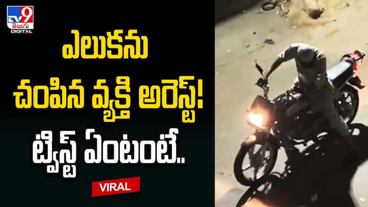 ఎలుకను చంపిన వ్యక్తి అరెస్ట్ !! ట్విస్ట్ ఏంటంటే ?? ఎలుకను చంపిన వ్యక్తి అరెస్ట్ !! ట్విస్ట్ ఏంటంటే ??