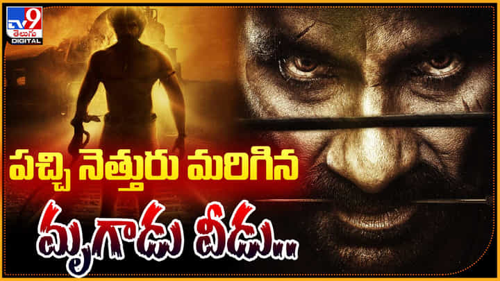 Tiger Nageswara Rao: పచ్చి నెత్తురు మరిగిన మృగాడు వీడు.. రవితేజను ఇలా ఎప్పుడు చూసి ఉండరు.. Tiger Nageswara Rao: పచ్చి నెత్తురు మరిగిన మృగాడు వీడు.. రవితేజను ఇలా ఎప్పుడు చూసి ఉండరు..