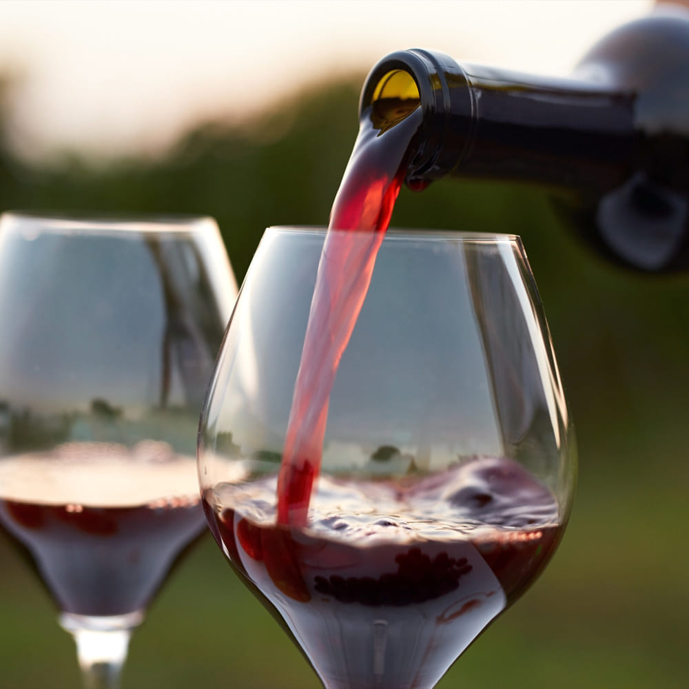 లైఫ్ టైం పెరిగే అవకాశం: రెడ్ వైన్‌ను మితంగా తీసుకుంటే, తీసుకోని వారి కంటే ఎక్కువ కాలం జీవిస్తారని పలు అధ్యయానాలలో తేలింది. ఇది అనేక ఆరోగ్య ప్రయోజనాలను కలిగి ఉంది. దీర్ఘకాలిక వ్యాధుల నుండి రక్షణ కల్పించే రోగనిరోధక శక్తిని ఇస్తుంది.