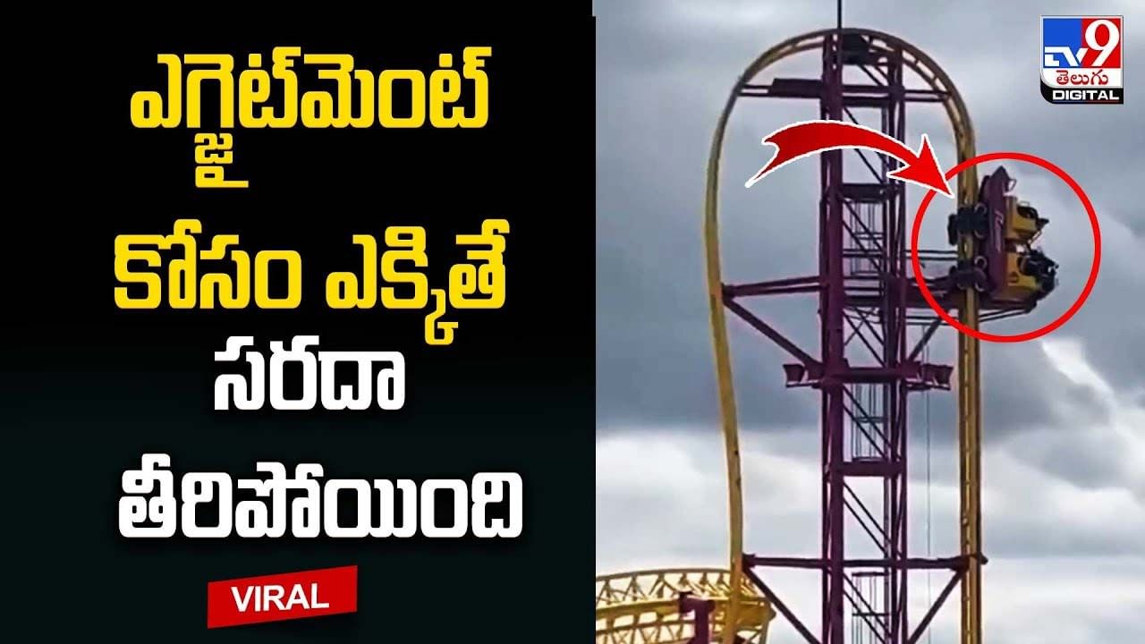 ఎగ్జైట్‌మెంట్‌ కోసం రోలర్‌కోస్టర్ ఎక్కితే సరదా తీరిపోయింది !!