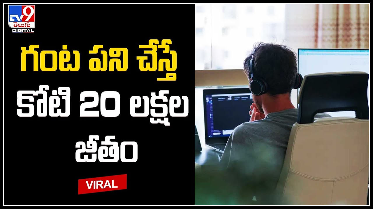 Tech Companies: గంట పనికి రూ.కోట్ల జీతమా..? టెక్‌ కంపెనీలను వేధిస్తున్న ఫేక్‌ వర్క్‌.. వీడియో.